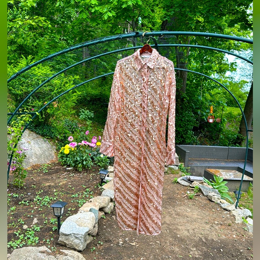 ZARA BUTTON DOWN SEQUINED SHEER DUSTER DRESS - Picture 8 of 14